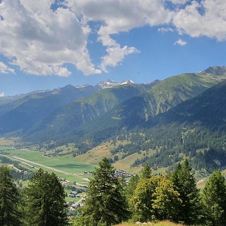 Chalet Biene - Swiss Alp Chalet With Sauna And Jacuzzi Ulrichen Cameră foto
