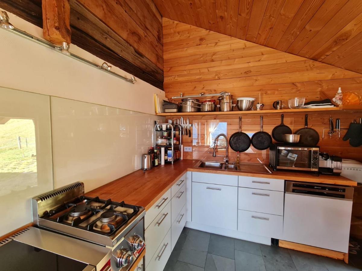 Chalet Biene - Swiss Alp Chalet With Sauna And Jacuzzi Ulrichen Exterior foto